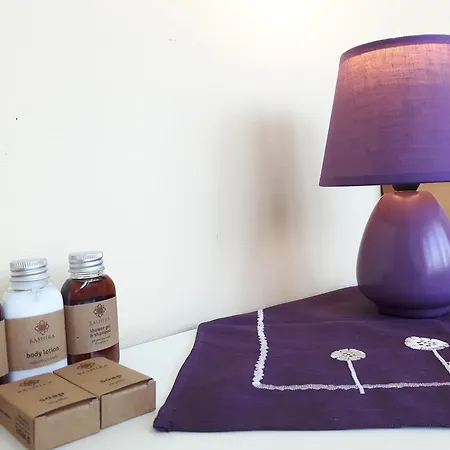 Slowicza Πανσιόν *