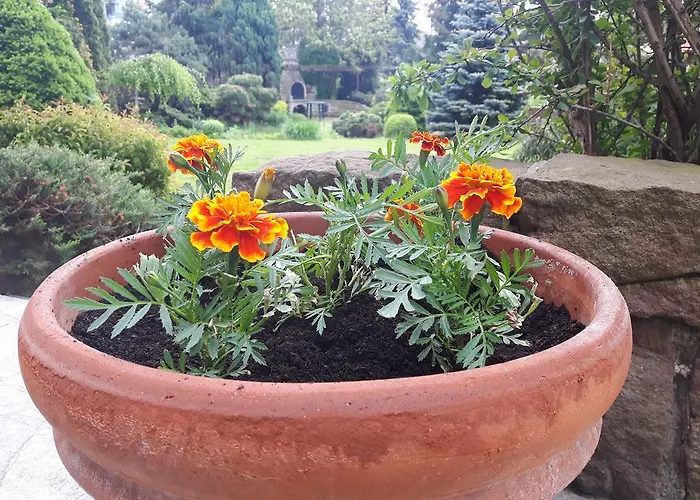 Slowicza * وارسو