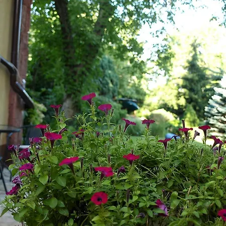 Slowicza בית הארחה